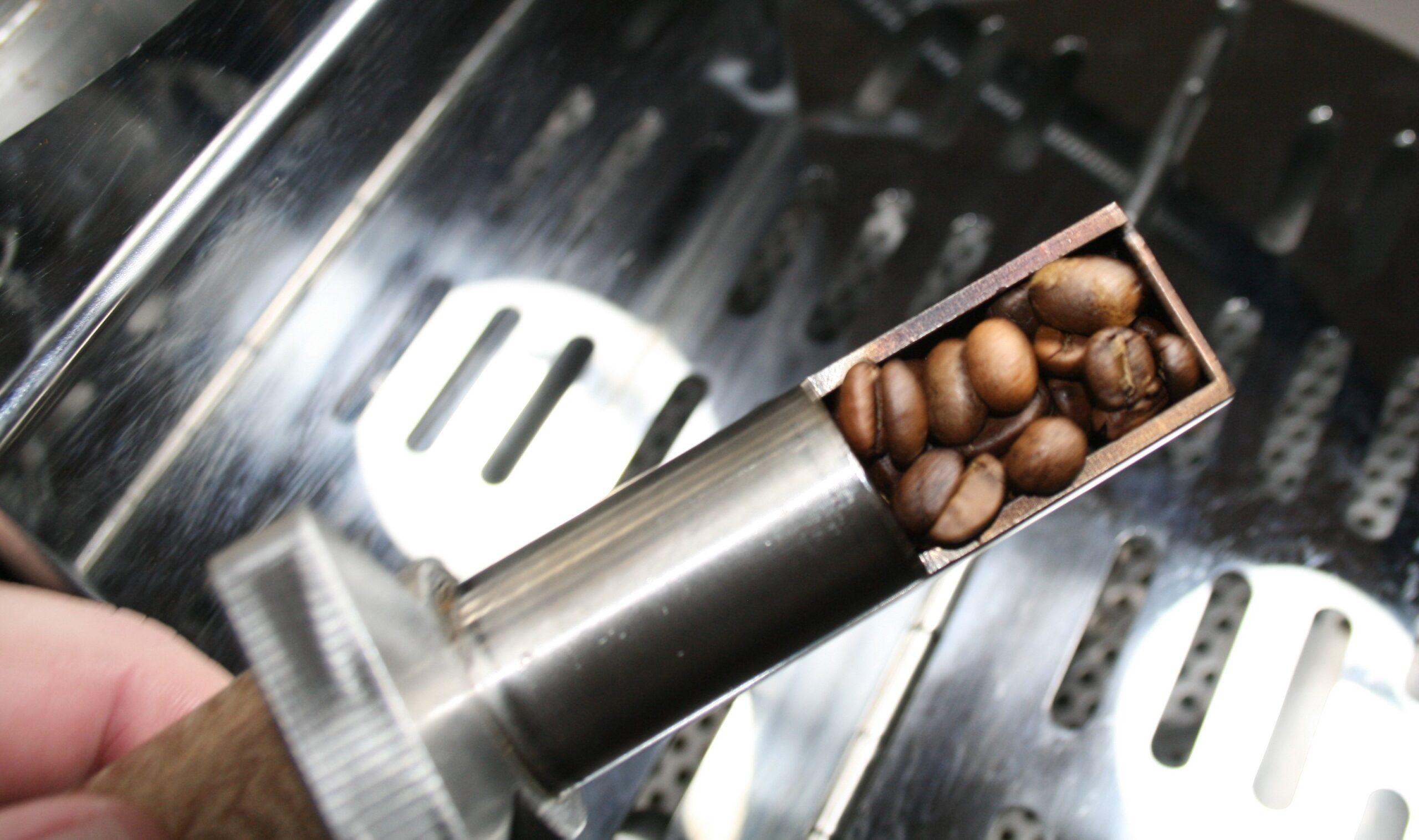 Coffee Bean