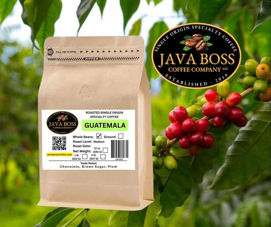 Guatemala - Huehuetenango Medium Roast Coffee Beans - Image 2